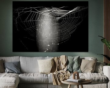 Het spinnenweb