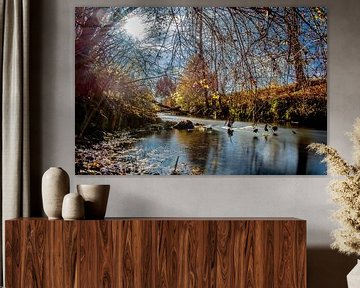 Baden-Württemberg: De Dürnach van Photoart-Naegele