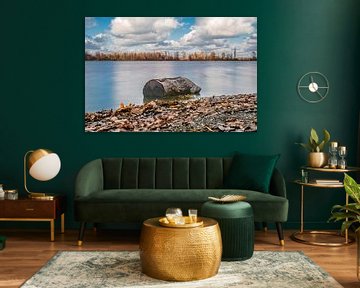 De boomstam van Photoart-Naegele