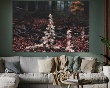 weißer Weihnachtsbaum im dunklen Wald von Tania Perneel