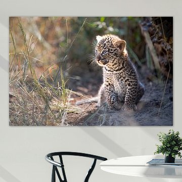 Leopardenjunges wärmt sich in der Sonne