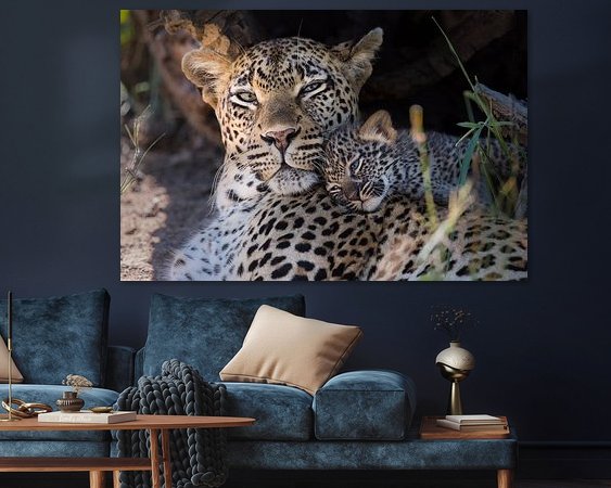 Aperçu de la chambre