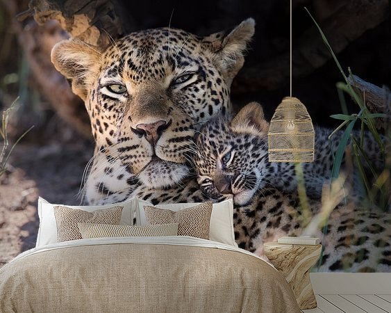 Aperçu de la chambre