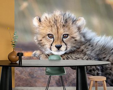 Dapper cheetah welpje van Jos van Bommel