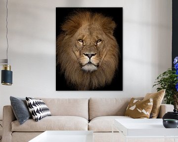 Portrait d'un lion impressionnant sur Patrick van Bakkum