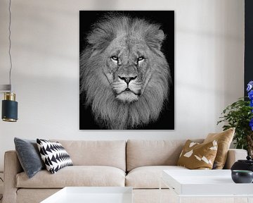 Portrait d'un lion impressionnant sur Patrick van Bakkum