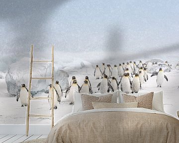 King penguins in the snow by Jos van Bommel
