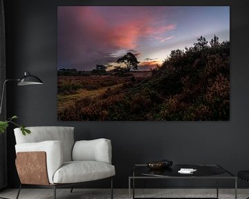 Hollands landschap in Afrikaanse sfeer van ina kleiman