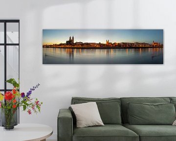 Maagdenburgse Skyline Panorama van Frank Herrmann