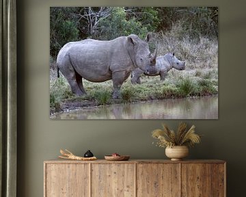 White rhino with calf by Karsten van Dam