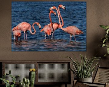 Flamingo family in Mexico by Berg Photostore