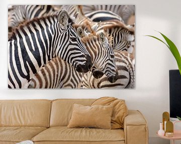 Zebra strepen van Jos van Bommel