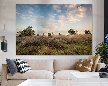 A beautiful view of the windward heathland