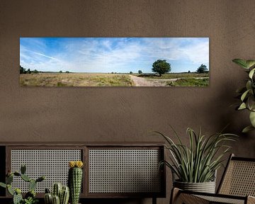 Uitzich op de heide