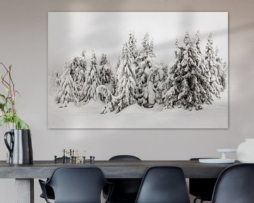Besneeuwde Bomen in Noorwegen - 1 van Adelheid Smitt