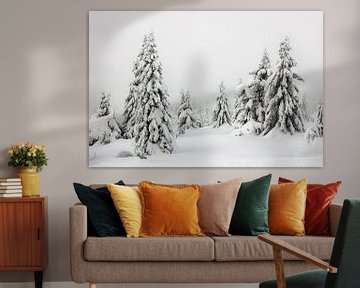 Schneebedeckte Bäume in Norwegen - 2 von Adelheid Smitt