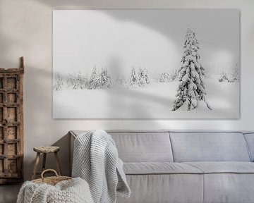 Besneeuwde Bomen in Noorwegen - 3 van Adelheid Smitt