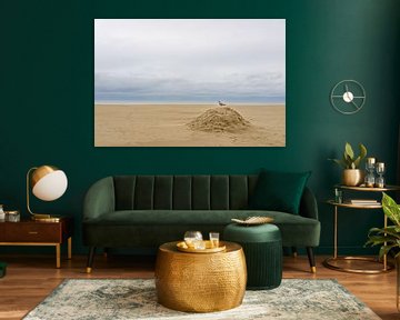 Gull on the beach by Johan Vanbockryck