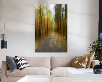 Cycle path in the forest by Steffi Hommel