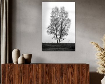 Baum in der Landschaft von Menno Schaefer