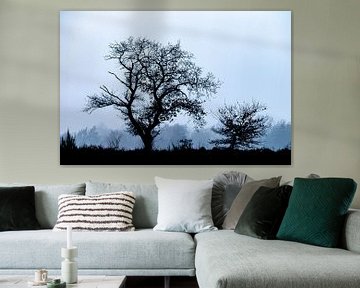 Bomen in het landschap maar dan in Zwart wit van Menno Schaefer