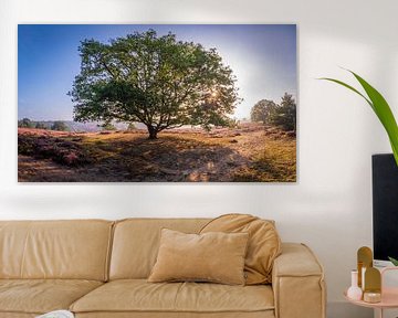 Cooling tree on the heath by Remco Piet