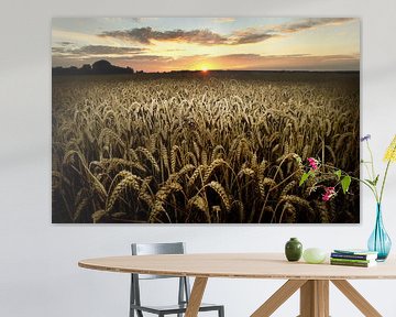 Wheat field by Luuk van der Lee