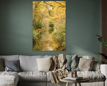 Omlijst door de herfst (mooi watertje omlijst door goudgele herfstbladeren) van Birgitte Bergman