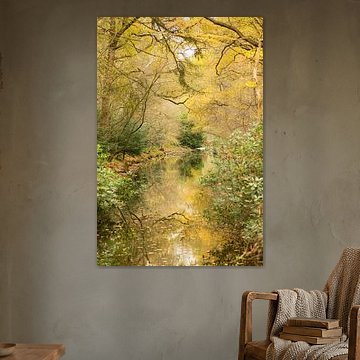 Omlijst door de herfst (mooi watertje omlijst door goudgele herfstbladeren) van Birgitte Bergman