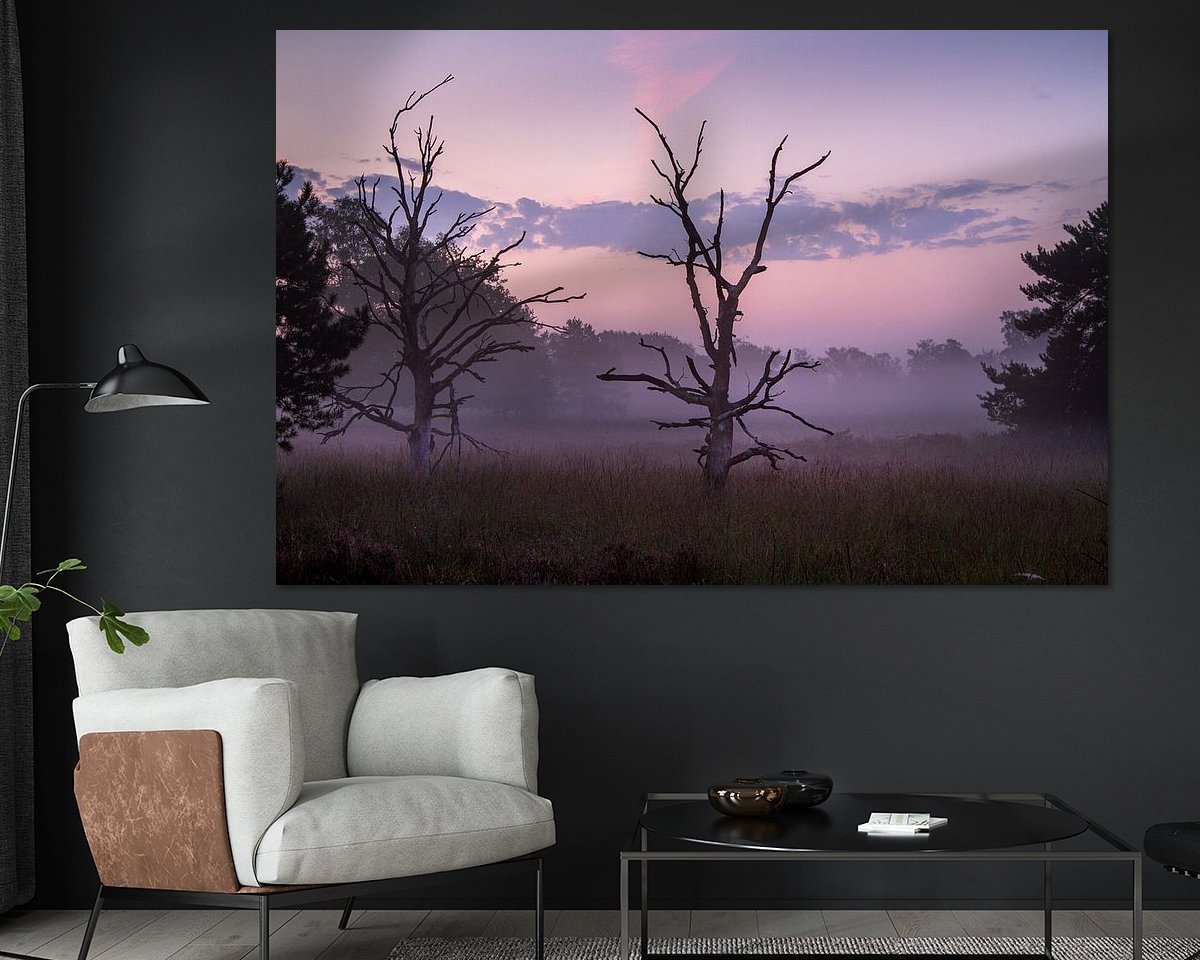 Raumvorschau