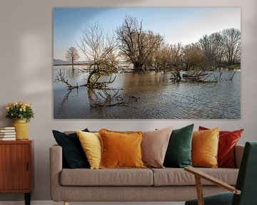 Überschwemmungsgebiete der niederländischen Waal