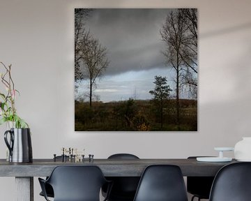 Dunkle Wolken in einem Herbstwald von Rene  den Engelsman