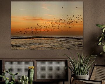 Vogelschwarm nach Sonnenuntergang von Monique van Middelkoop