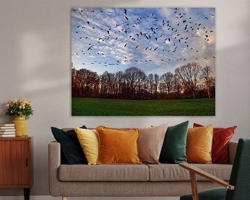 Vlucht van de kranen