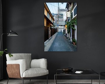 Japanese street (Nara, Japan) by Jeffrey Schaefer