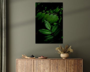 Groen licht - Botanisch interieur van Linda Bouritius
