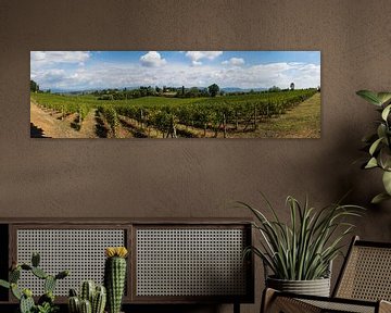 Panoramisch uitzicht over de wijngaarden van Toscane van Robbert De Reus