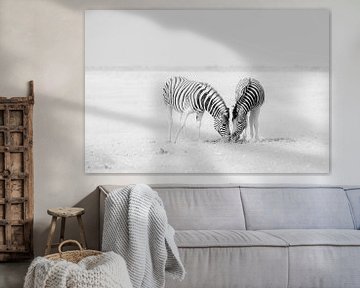 Twee zebra's op een eindeloze lege vlakte van Adri Klaassen