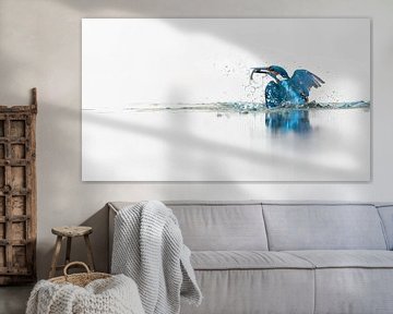 Kingfisher in highkey van Alex Pansier