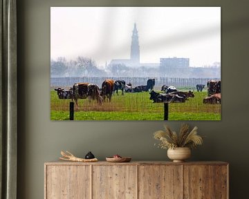 Middelburg en koeien in de vroege lente van Robbert De Reus
