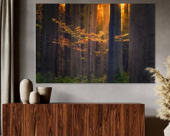 Voorbeeld van het werk in een kamer