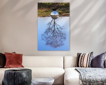 Glass tree by Maarten Kooij