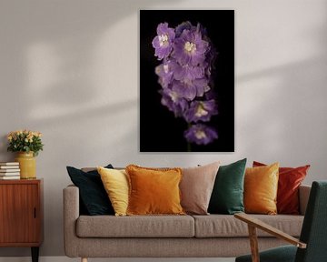 De belles fleurs violettes