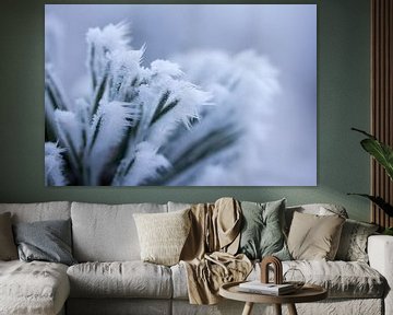 Een wit winterdetail, bevroren plant met ijspegeltjes