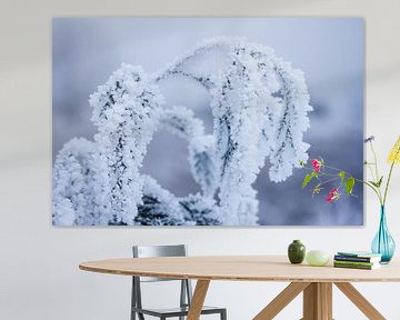 Winter in de natuur, plantes bedenkt onder een laagje sneeuw van Karijn | Fine art Natuur en Reis Fotografie