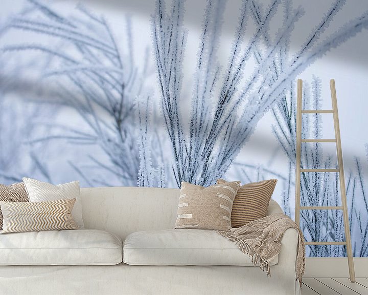 Beispiel fototapete: Weisses Wunderland, von einer Schneeschicht bedeckte Pflanzen von Karijn | Fine art Natuur en Reis Fotografie
