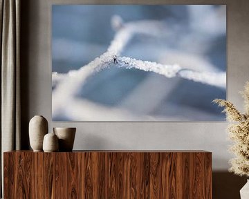 détail de la neige, petits diamants formant une couche de neige sur Karijn | Fine art Natuur en Reis Fotografie