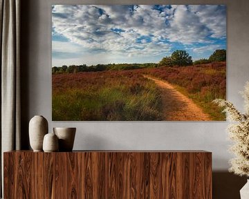 Bloeiende heide by Olaf Eckhardt