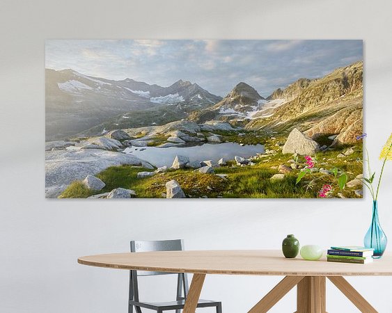 Aperçu de la chambre