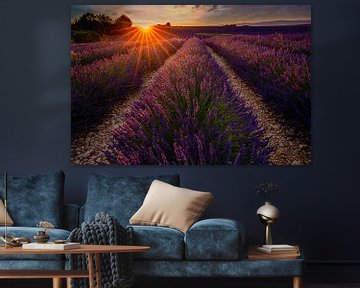 Lavendelveld in de Provence tijdens zonsondergang